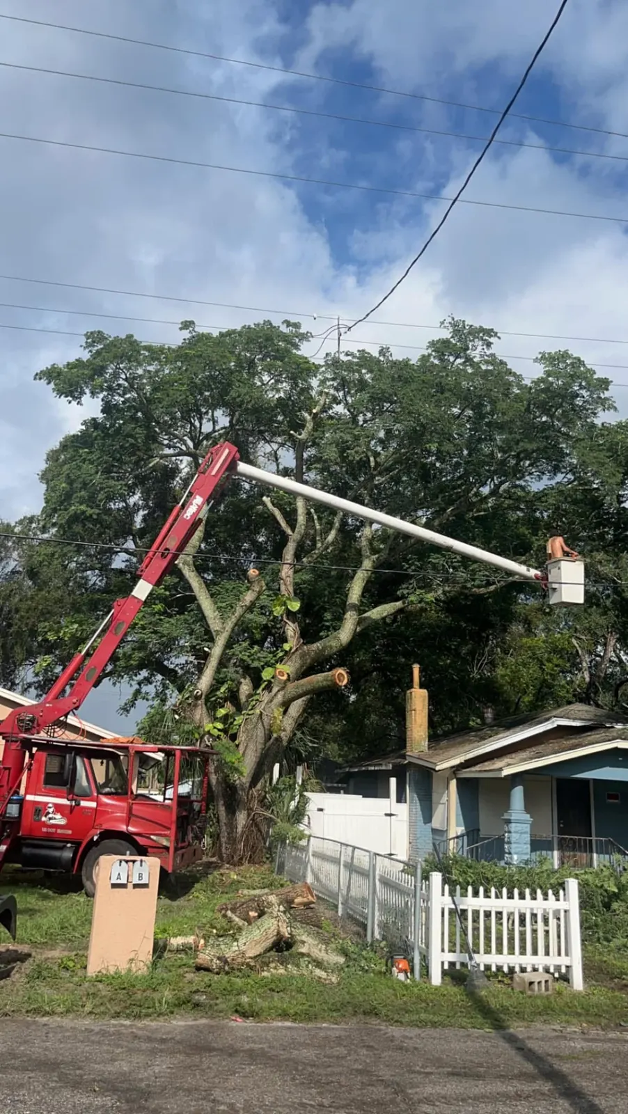 Aerial lift positioned beside a Florida home for tree work