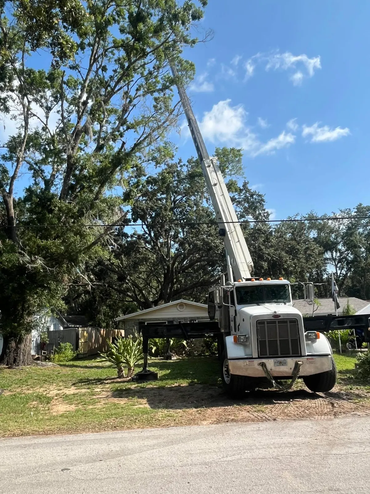 Bucket truck crew working in a residential tree canopy