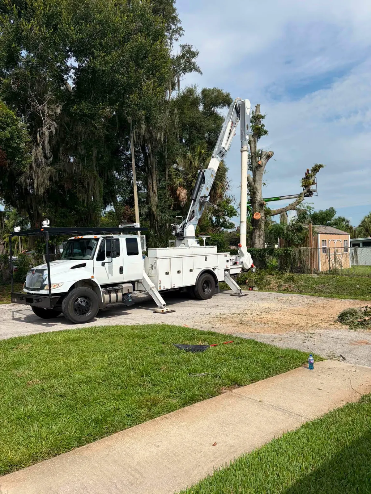 Tree Houdini bucket truck positioned at a residential tree job