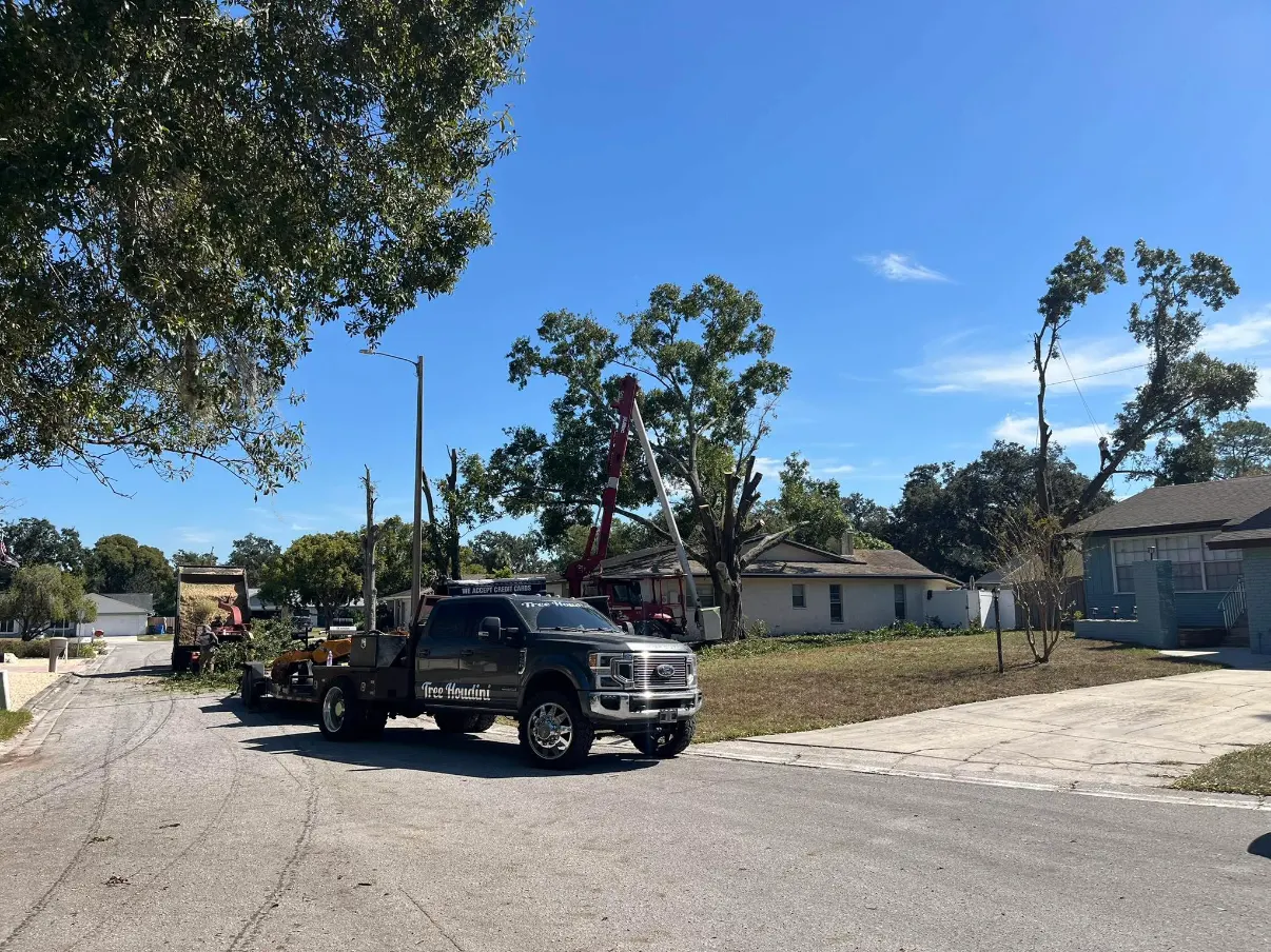 Compact equipment at work on a residential property