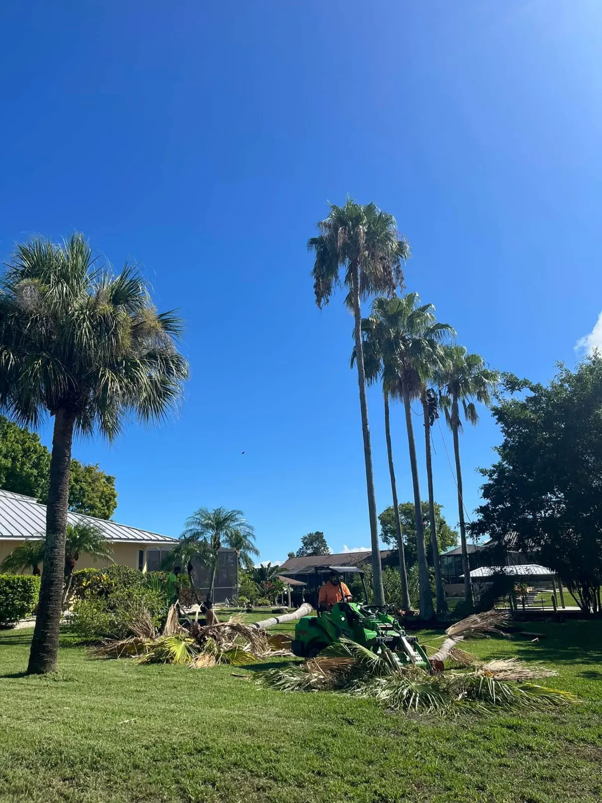 Tree removal equipment working on a residential property