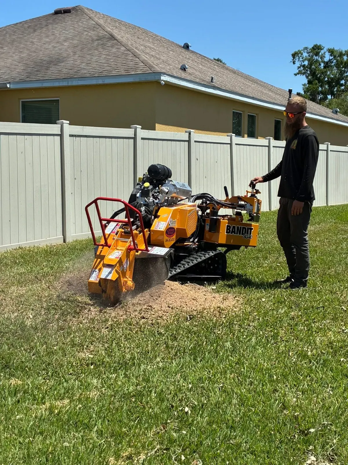 Stump Grinding work by Tree Houdini