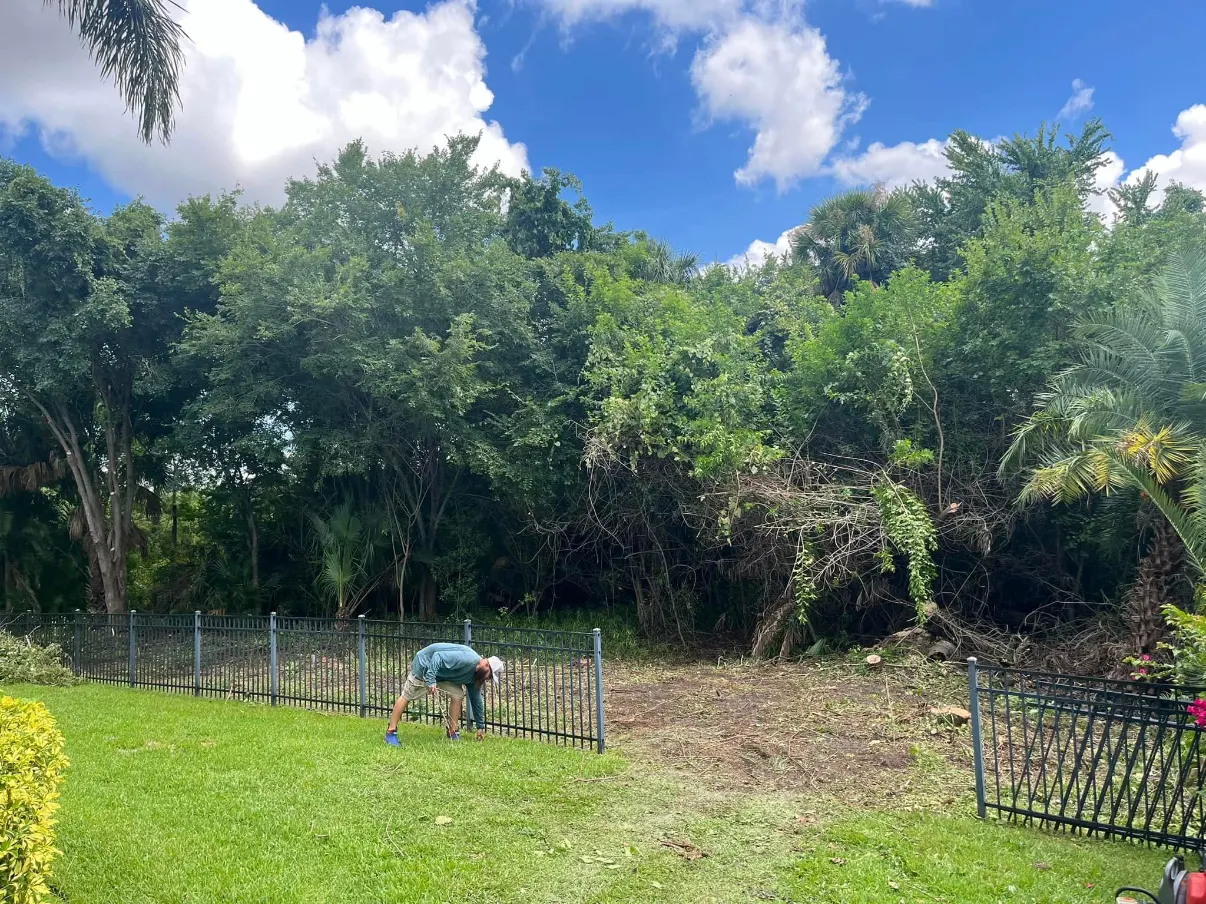 Residential property after cleanup work