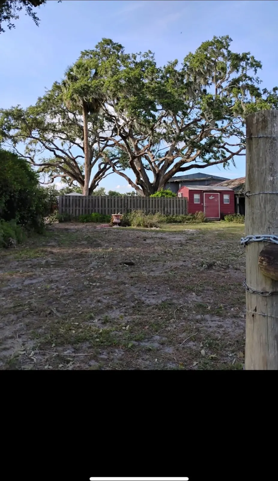 Tree work underway around a mature residential oak