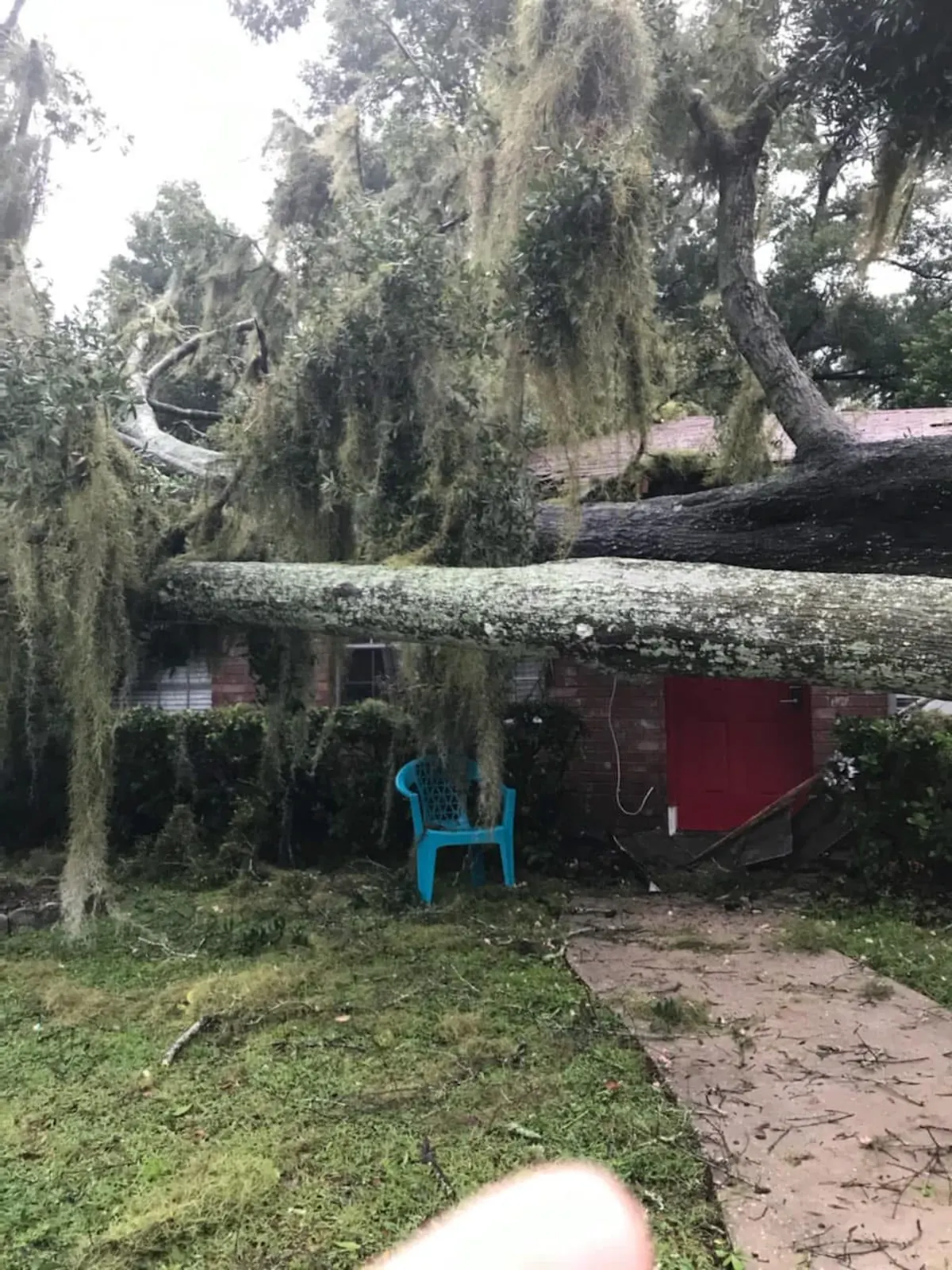 Storm-damaged tree on a residential property
